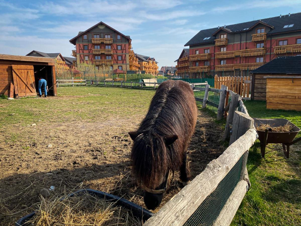 Apartman Mountain View - Tatragolf C Vel'ka Lomnica Buitenkant foto